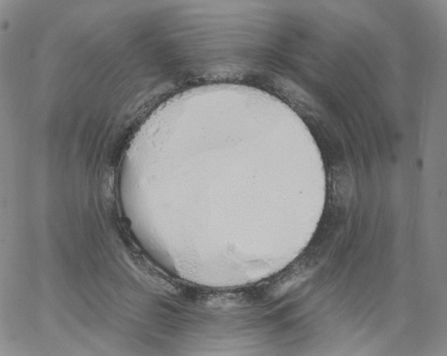 X0000062900550200602101809