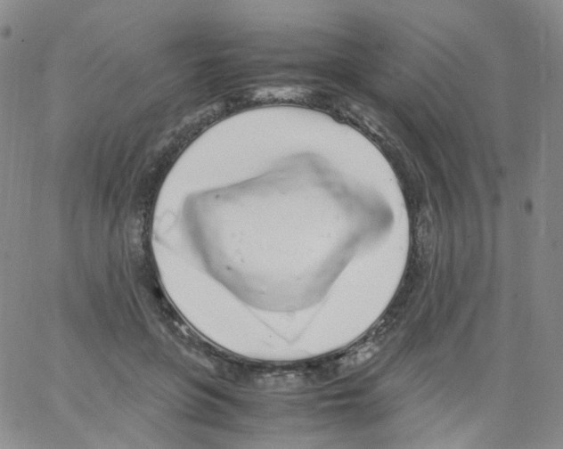 X0000062900551200602101809