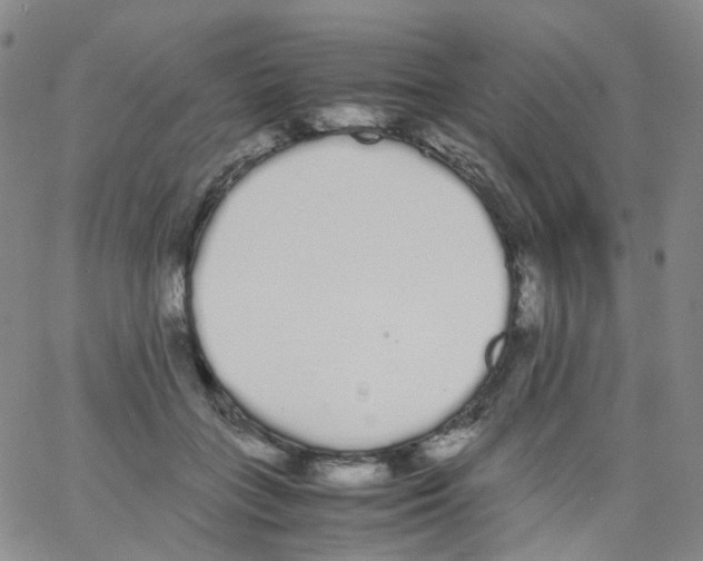 X0000062900555200602101809