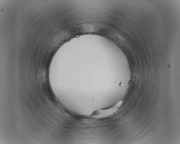 X0000062900556200602101809