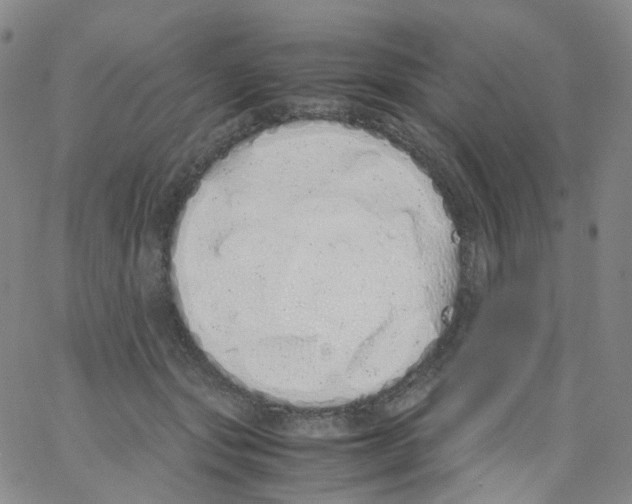 X0000062900557200602101809