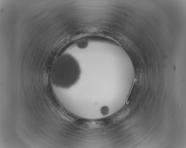 X0000062900558200602101809