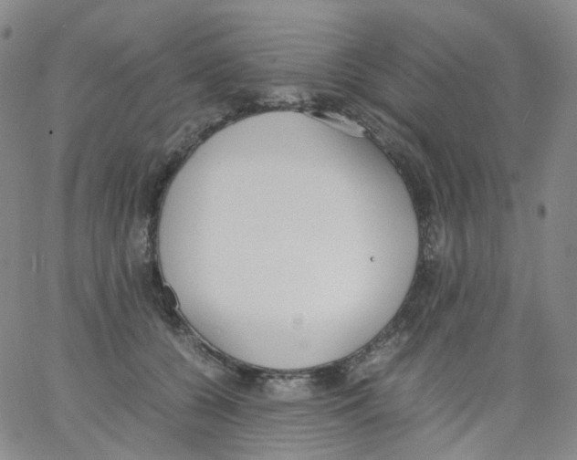 X0000062900560200602101809