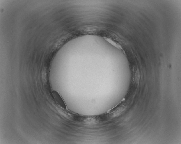 X0000062900562200602101809