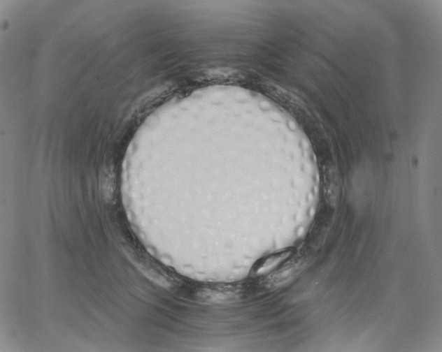 X0000062900563200602101809