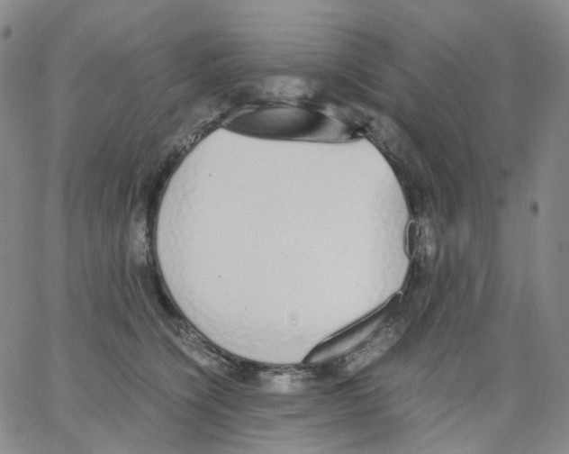 X0000062900564200602101809