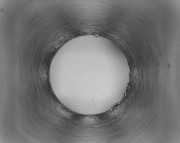 X0000062900566200602101809