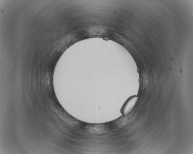 X0000062900567200602101809