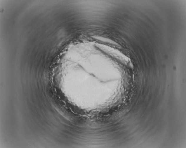 X0000062900568200602101809