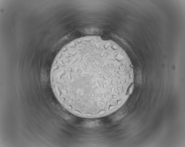 X0000062900569200602101809