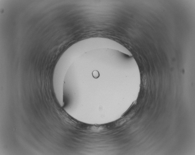 X0000062900570200602101809