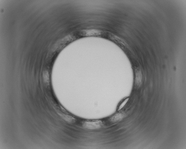 X0000062900571200602101809