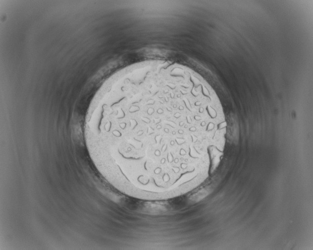 X0000062900573200602101810