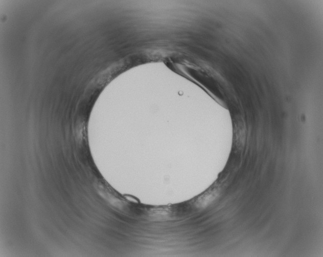 X0000062900574200602101810