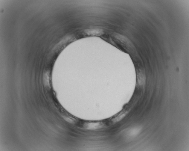 X0000062900575200602101810