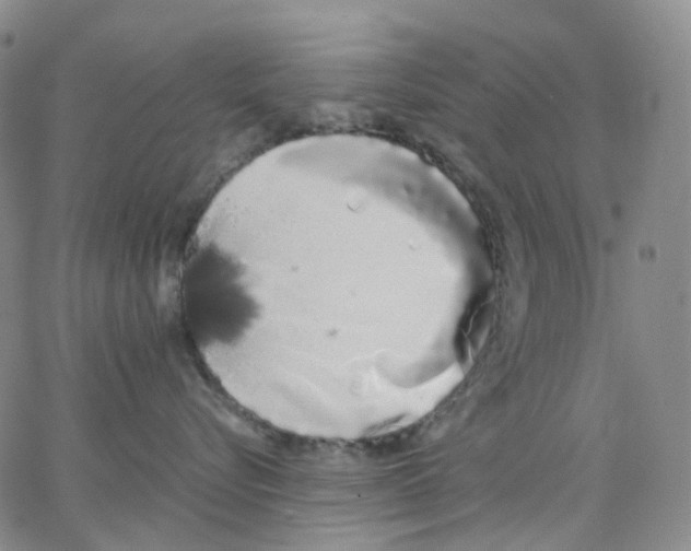 X0000062900576200602101810