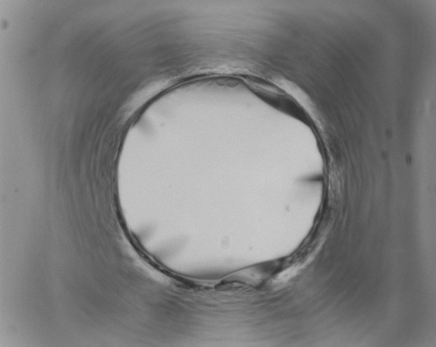 X0000062900577200602101809