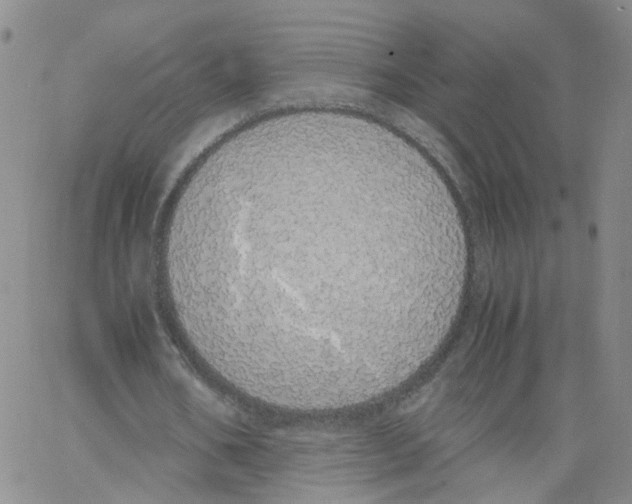 X0000062900578200602101809