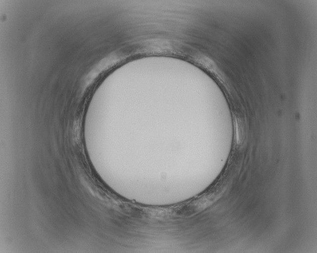 X0000062900579200602101809