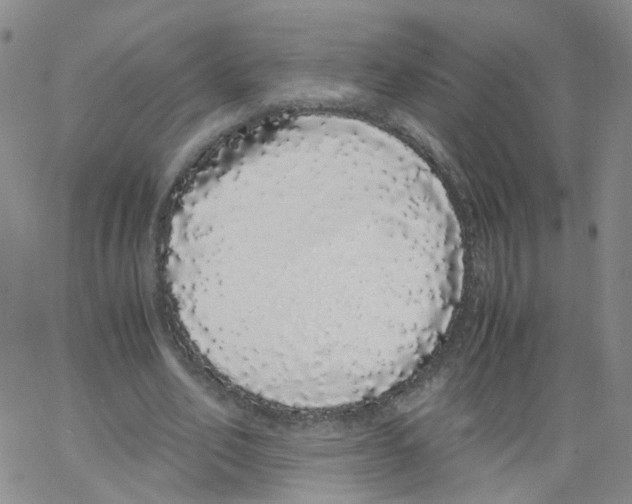 X0000062900582200602101809