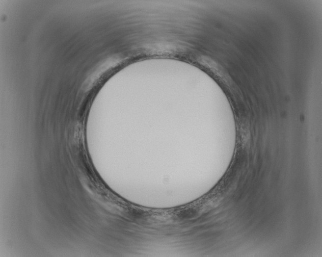 X0000062900583200602101809