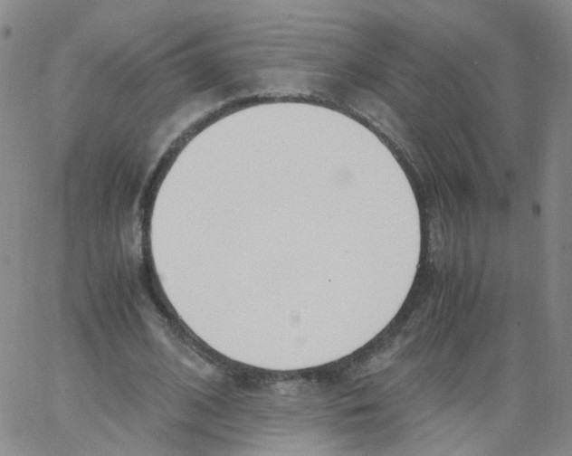 X0000062900584200602101809