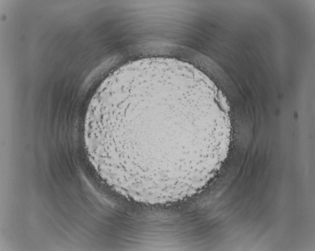 X0000062900586200602101809