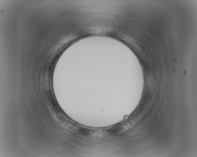 X0000062900587200602101809