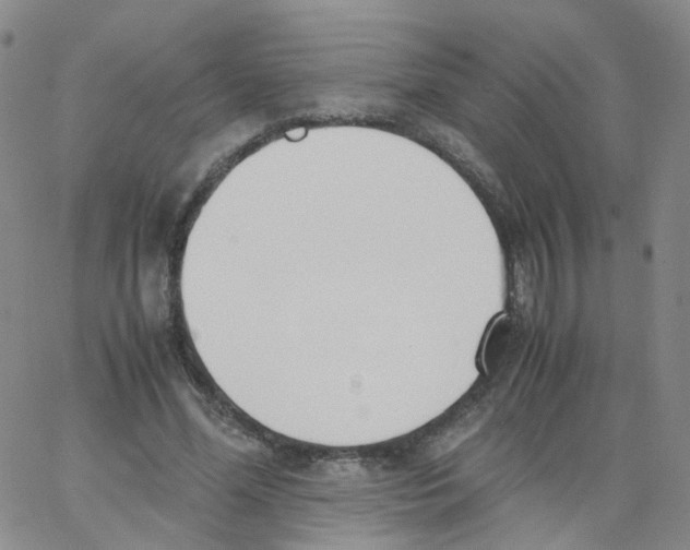 X0000062900588200602101809