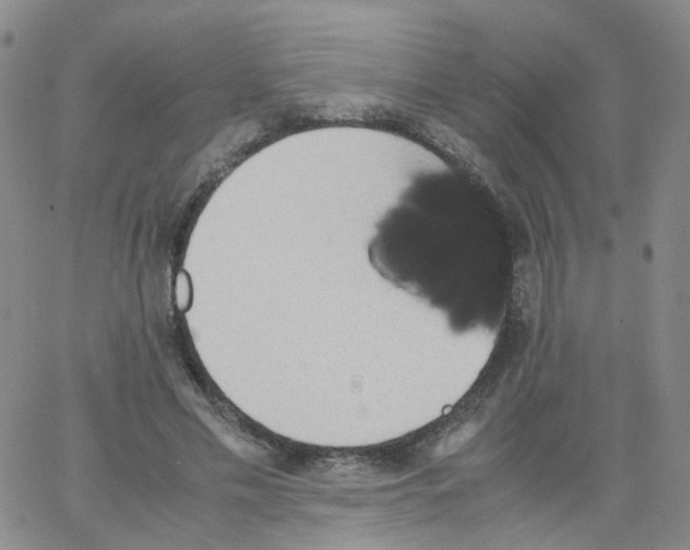 X0000062900589200602101809