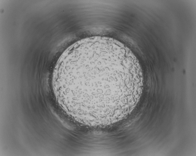 X0000062900590200602101809