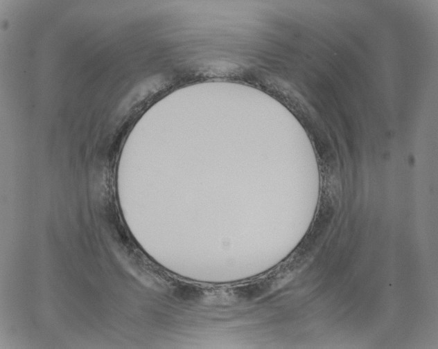 X0000062900591200602101809