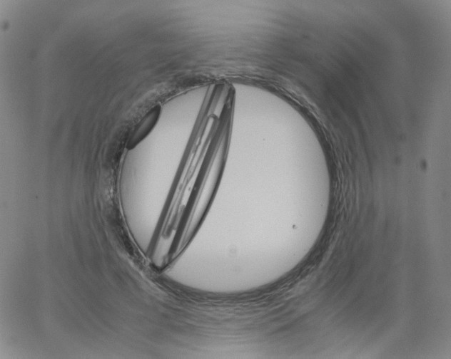 X0000062900593200602101809