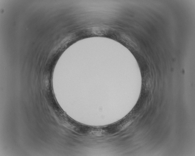 X0000062900595200602101808