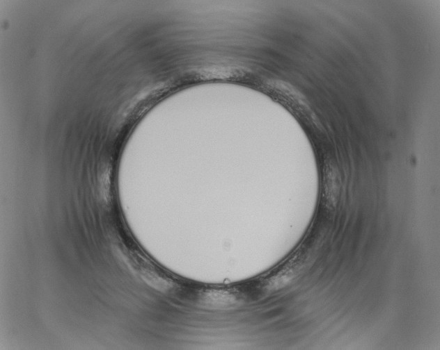 X0000062900596200602101808