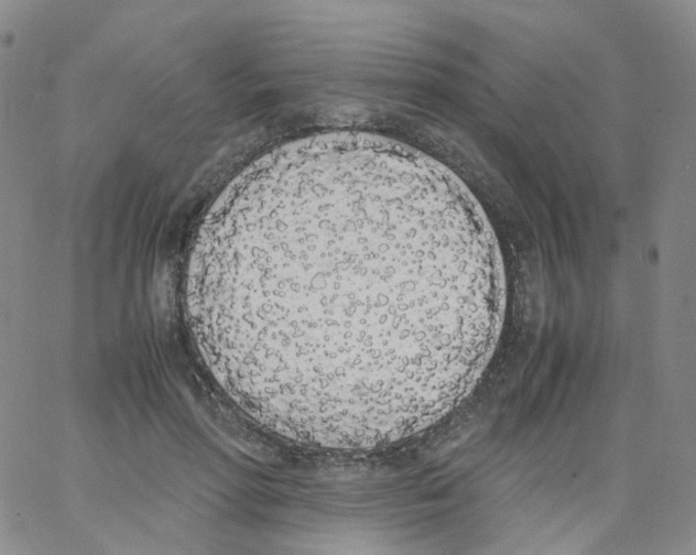 X0000062900598200602101808