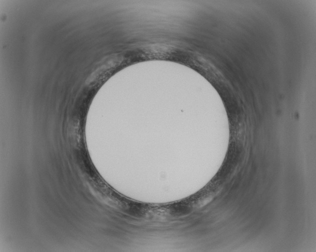 X0000062900599200602101808