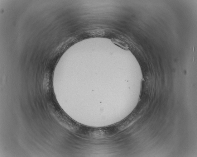 X0000062900600200602101808