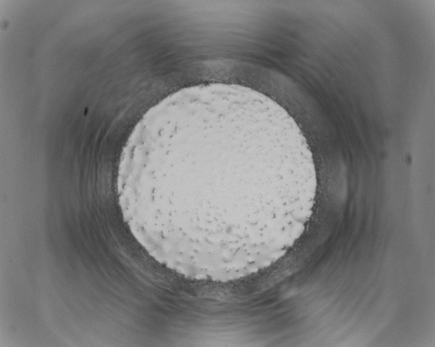 X0000062900602200602101808