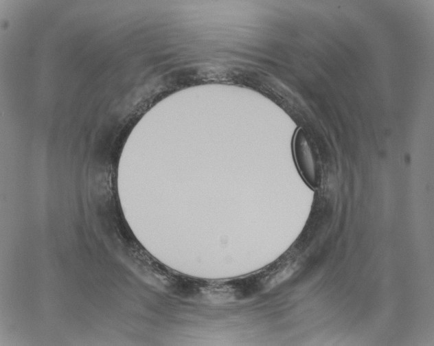 X0000062900603200602101808