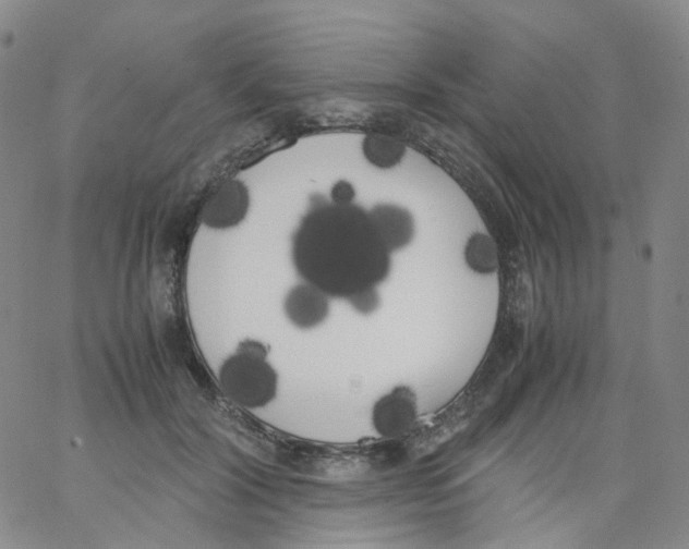 X0000062900604200602101808