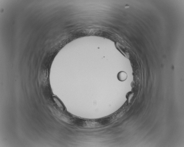 X0000062900605200602101808