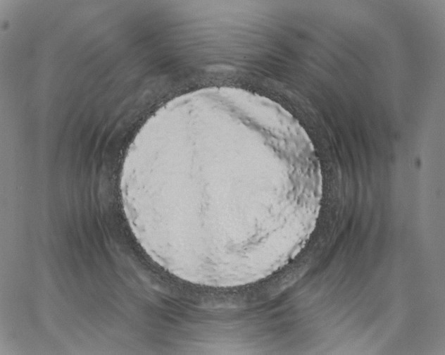 X0000062900606200602101808