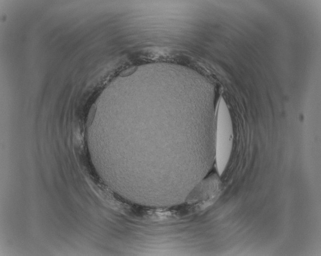 X0000062900607200602101808