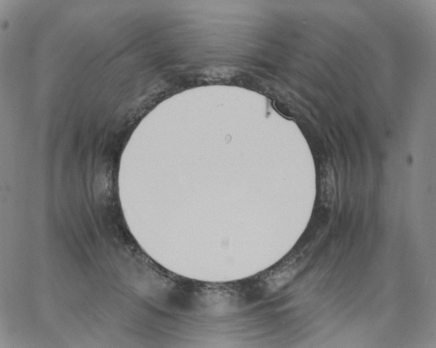 X0000062900608200602101808