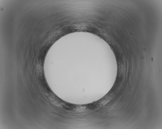 X0000062900609200602101808