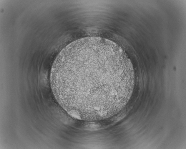 X0000062900610200602101808