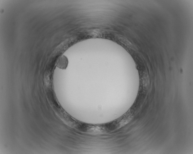 X0000062900611200602101808