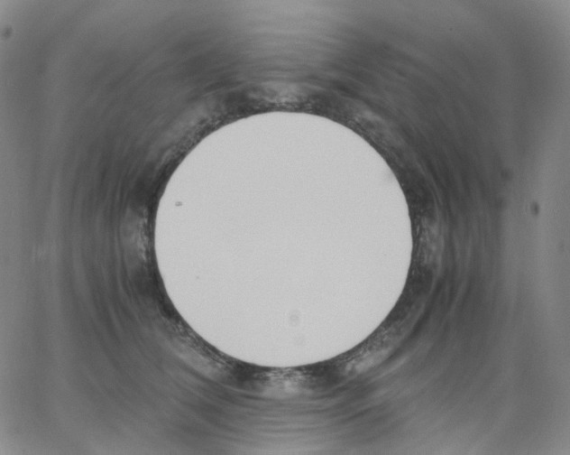 X0000062900612200602101808