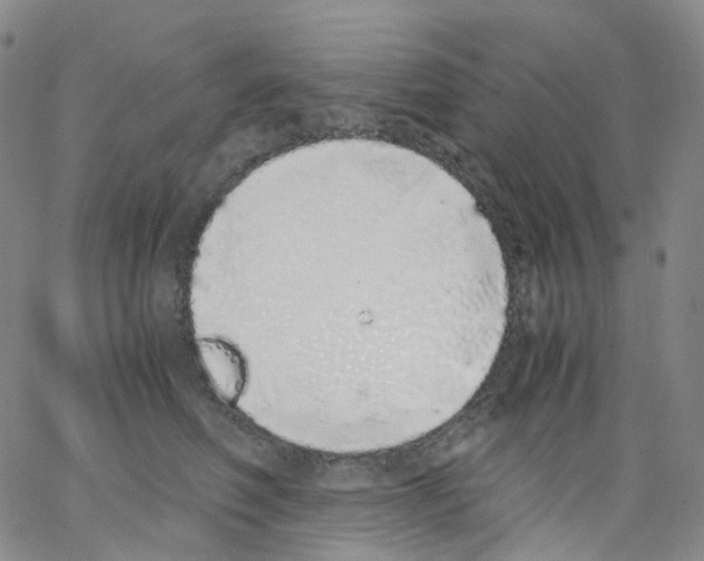 X0000062900614200602101808